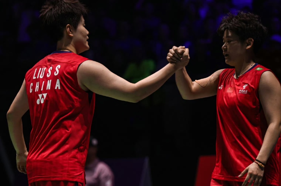 丹麦安赛龙 丹麦安赛龙